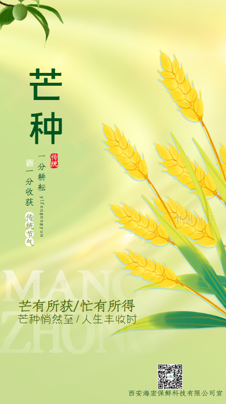 芒种 丰收季|保鲜包装祝愿所有果农年年丰收