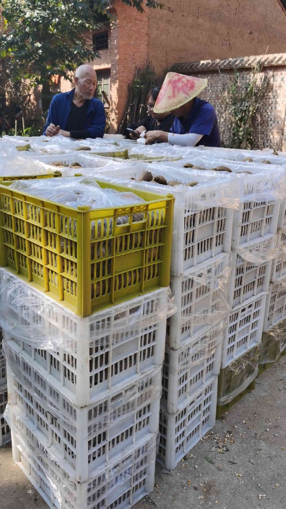 关于做好2022年农产品产地冷藏保鲜设施建设工作的通知