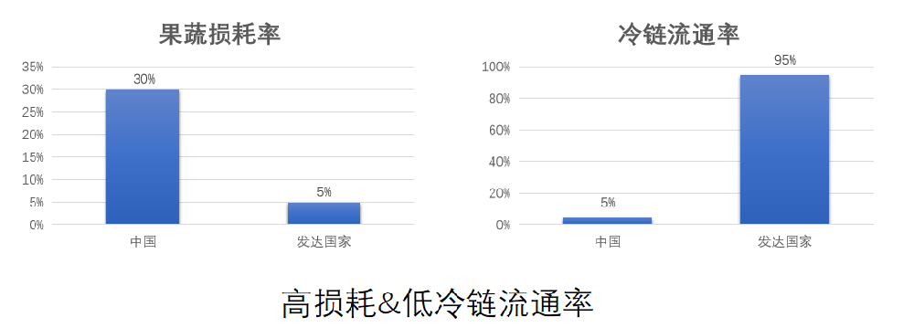 发改委推动大型冷链物流网络建设,果蔬保鲜迎来