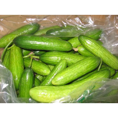 果蔬保鲜包装：乳瓜保鲜袋