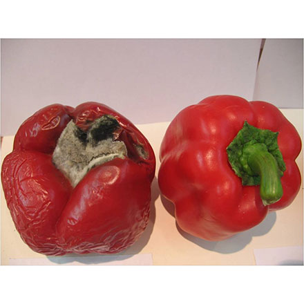 蔬菜保鲜包装：彩椒保鲜袋