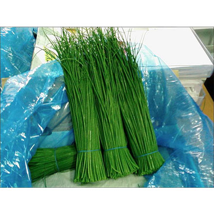 蔬菜保鲜包装：青菜保鲜袋