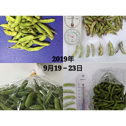 蔬菜保鲜包装：毛豆保鲜袋