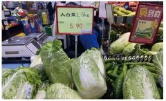 商务部:完成和完善蔬菜储备,蔬菜保鲜技术成关键