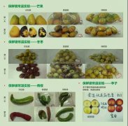 这篇文章，我们准备了一年！